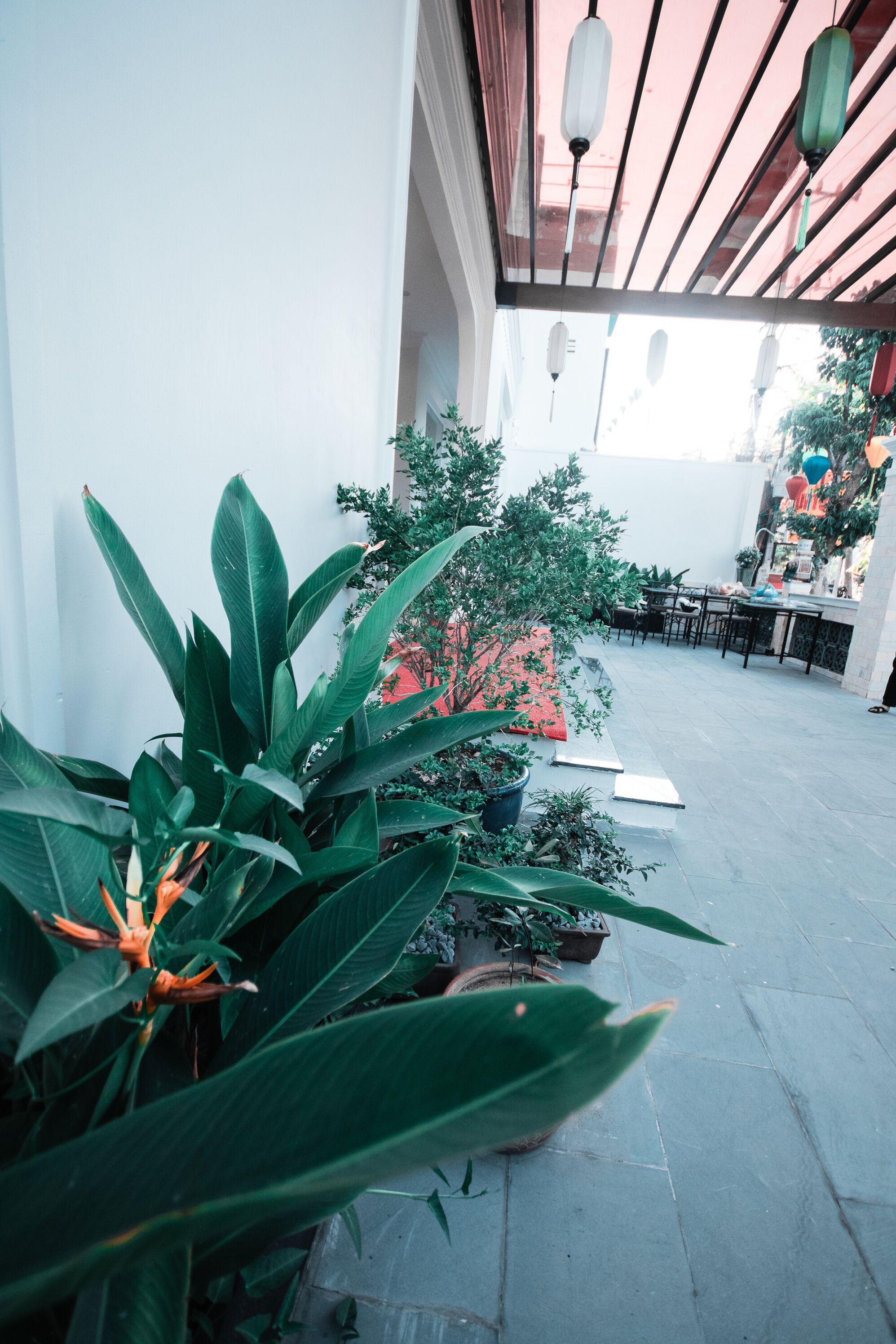 Uptown Hoi An Hotel & Spa Экстерьер фото